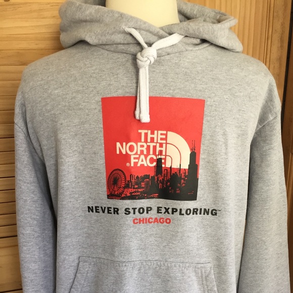 the north face hooded sweatshirt